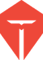 Top Esports logo
