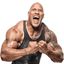 Dwayne 'The Rock' Johnson logo